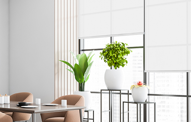 Roller Shades